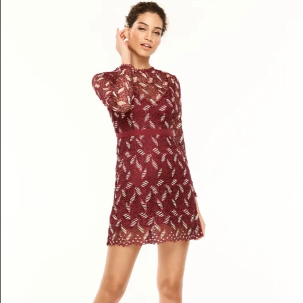 Burgundy and cream lace minidress